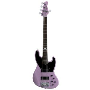 Schecter SD-II-24 BW Basswood パープル《エレキギター