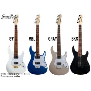 ESP GrassRoots G-SNAPPER-CTM（クリップチューナー、ストラップ