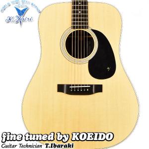 K.YAIRI vincent vd-110 k.ヤイリ VD-110 NL - VINCENT - guitar & others -
