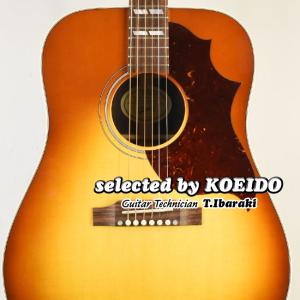 GIBSON Hummingbird Studio Rosewood Rosewood Burst 2022  ギブソン ハミングバード