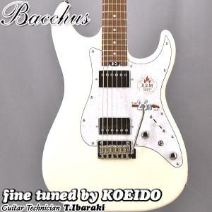 【レア！？】レリック加工　ストラトキャスター LSL Instruments サティコイ ストラトキャスター レリック加工