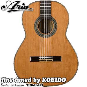 Aria アリア A-100C-63 (ハードケース付属)（アウトレット特価）アリア　クラシックギター｜koeido1