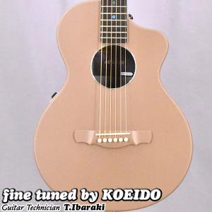 NATASHA ASTEROID NSX Lotte ナターシャ スマートギター ミニアコースティックギター　エレアコ