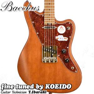 バッカス WINDY-BREAKER RSM BR-Sの買取情報