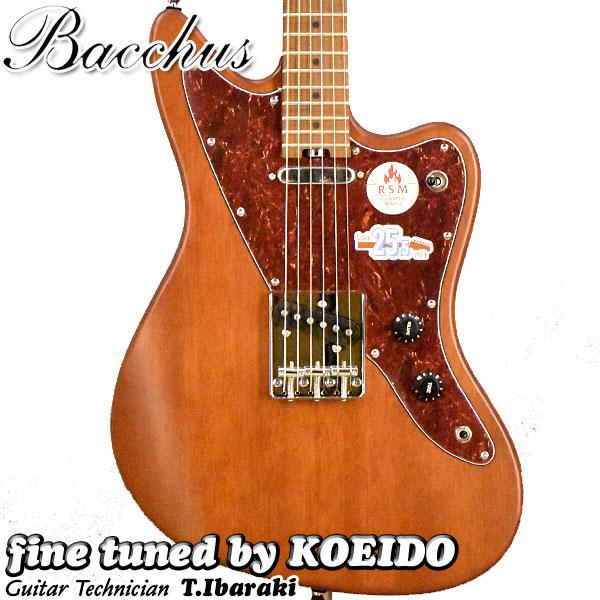 Bacchus WINDY-BREAKER/RSM BR-S （アウトレット特価）バッカス　エレキギ...