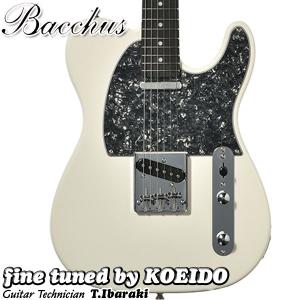 Bacchus BTE-1DX エレキギターの買取情報
