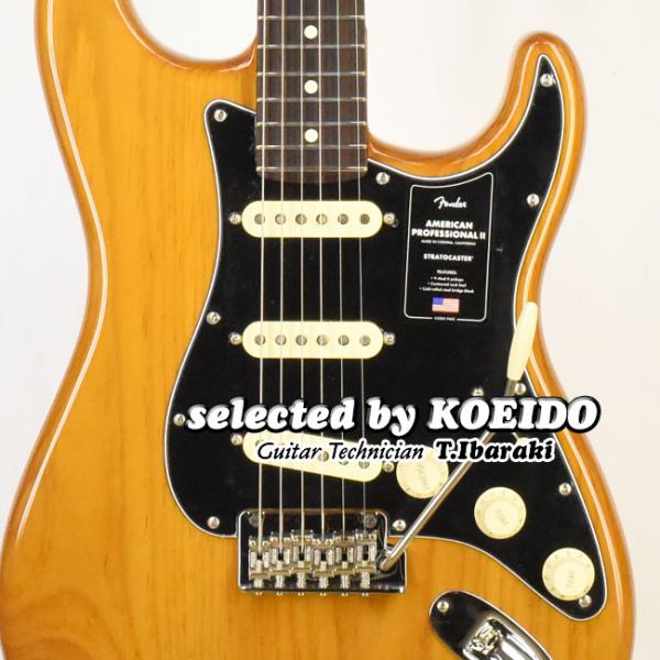 Fender American Professional2 Stratocaster RW Roas...