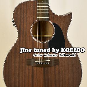 ARIA アコースティックギター ブラウン ARIA（アリア） Aria Dreadnought AF-107KACE MTN (スペア弦付き
