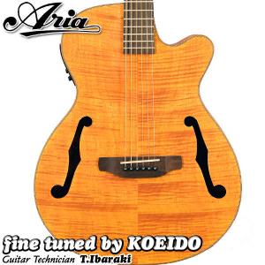ARIA（アリア） Aria Dreadnought AF-107KACE MTN (スペア弦付き