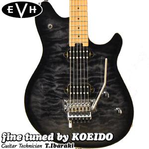 EVH Wolfgang Special, Maple Fingerboard, Gloss Black エレキ