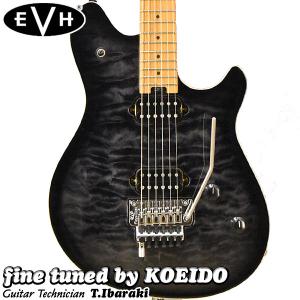 USED】EVH Wolfgang Special HT (ウルフギャング スペシャル 日本製