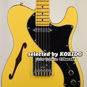 Fender Britt Daniel Tele Thinline AMG(selected by KOEIDO)｜koeido1