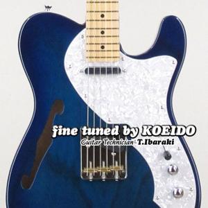 Fujigen Fgn Neo Classic Ntl10maht Sbb Fine Tuned By Koeido フジゲン テレキャスターシンライン エレキギター 最安値 価格比較 Yahoo ショッピング 口コミ 評判からも探せる