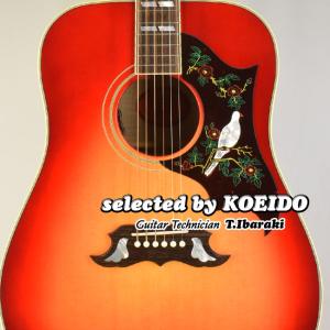 YAMAHA（ヤマハ） YAMAHA F39PJ TBS Acoustic Guitar アコースティック