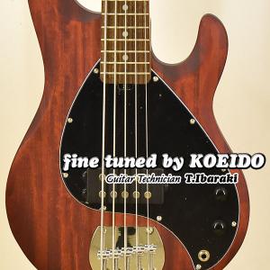 Sterling by MUSICMAN S.U.B Series RAY5 WS  スターリン5弦ベース