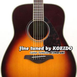 YAMAHA（ヤマハ） Yamaha FG-251B Acoustic Guitar アコースティック