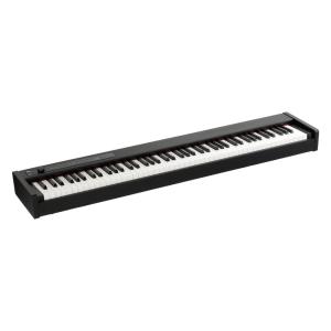 KORG（コルグ） 電子ピアノ D1 BK ブラック 88鍵 RH3鍵盤 ステージ