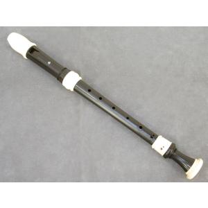YAMAHA YRA-28BIII/10本セット アルトリコーダー バロック式