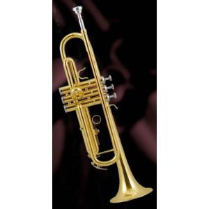 J.Michael トランペットTR-200美品 3年保証】 J.Michael TR-200 クリアラッカー仕上げ B♭ トランペット J