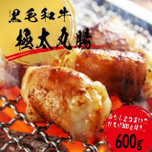 黒毛和牛 ホルモン 焼肉 丸腸ホルモン 600g 丸腸 国産 ホルモン焼き 焼き肉 BBQ 牛肉 プレゼント