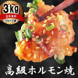 お中元 2023 ホルモン 焼肉 ホルモン焼き３kg(100gずつ小分け)