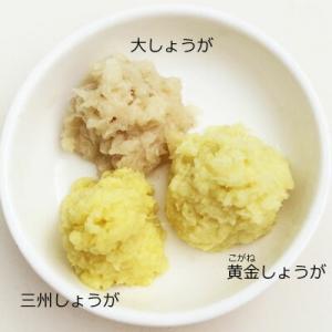 高知産 黄金生姜 1kg 送料無料 業務用 高...の詳細画像1