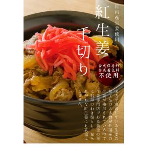 国産生姜使用 紅しょうが千切り 45g×5 送...の詳細画像1