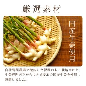 国産生姜使用 紅しょうが千切り 45g×5 送...の詳細画像2