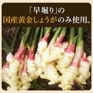 国産黄金生姜 寿司がり 1kg ガリ 国産 黄...の詳細画像1