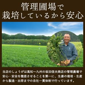 国産黄金生姜 寿司がり 1kg ガリ 国産 黄...の詳細画像2