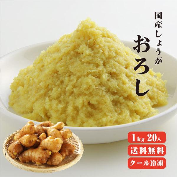 国産冷凍おろし生姜 1kg×20袋 送料無料 冷凍便 他商品同梱不可 業務用 まとめ買い  しょうが...