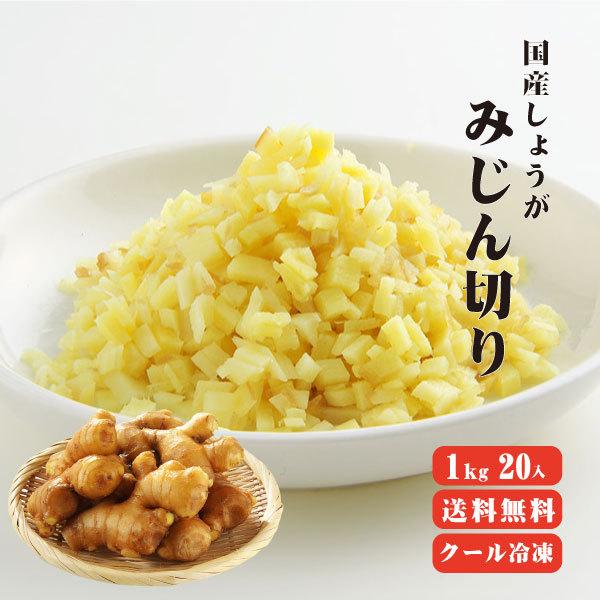 国産冷凍生姜 みじん 1kg×20袋 送料無料 冷凍便 他商品同梱不可 業務用 まとめ買い みじん ...