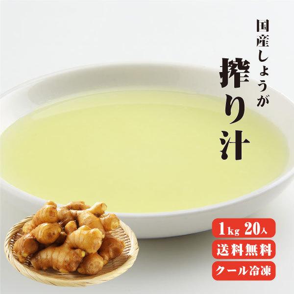 国産冷凍生姜汁 1kg×20袋 送料無料 冷凍便 他商品同梱不可 業務用 まとめ買い 絞り汁  しょ...