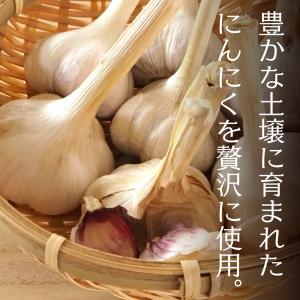国産おろしにんにく 80g×5本 送料無料 に...の詳細画像2