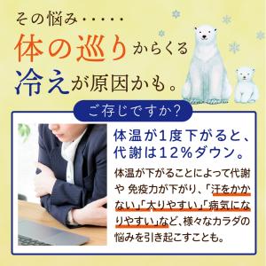 高知産黄金しょうが100% しょうが粉末 50...の詳細画像4