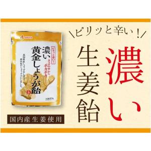 高知産生姜使用 濃い黄金しょうが飴 80g×4...の詳細画像1