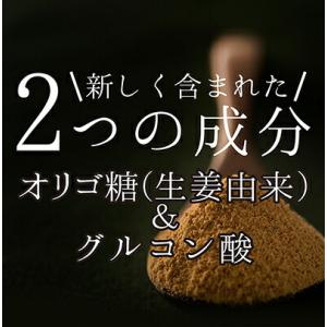 プレミアムジンジャーパウダー20g 送料無料 ...の詳細画像1