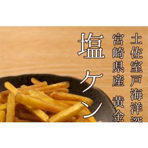 塩けんぴ(200g×4袋) 送料無料 TVで紹...の詳細画像1