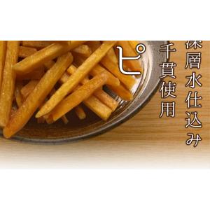 塩けんぴ(200g×4袋) 送料無料 TVで紹...の詳細画像2