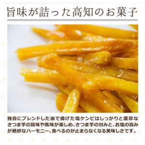 塩けんぴ(200g×4袋) 送料無料 TVで紹...の詳細画像3