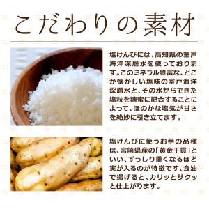 塩けんぴ(200g×4袋) 送料無料 TVで紹...の詳細画像4