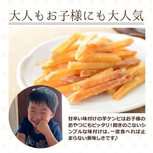 塩けんぴ(200g×4袋) 送料無料 TVで紹...の詳細画像5