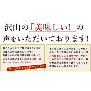 サクサク味付け極しょうが 110g×4 送料無...の詳細画像3