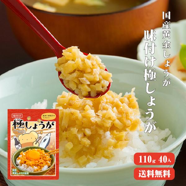 サクサク味付け極しょうが 110g×40 送料無料 まとめ買い  国産 酢しょうが ショウガ おかず...