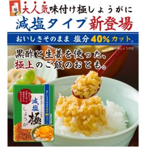 減塩 サクサク味付け極しょうが 110g×4 ...の詳細画像1