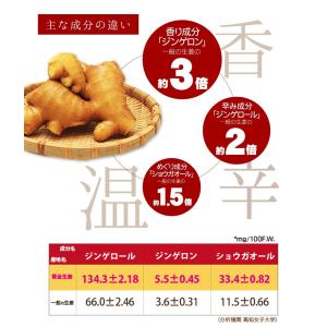 高知産しょうが お試しセット 送料無料 生姜 ...の詳細画像3