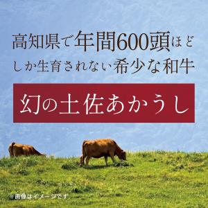 土佐あかうビーフカレー 160g×4袋 送料無...の詳細画像2