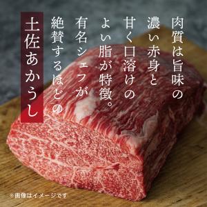 土佐あかうビーフカレー 160g×4袋 送料無...の詳細画像3