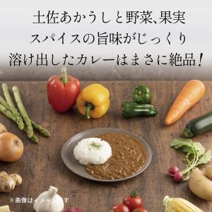 土佐あかうビーフカレー 160g×4袋 送料無...の詳細画像5