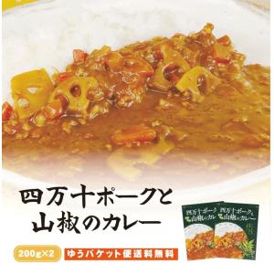 新宿中村屋 ビーフカリー 200g×10袋 スパイス 中村屋 10個 10食